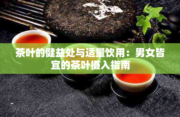 茶叶的健益处与适量饮用：男女皆宜的茶叶摄入指南