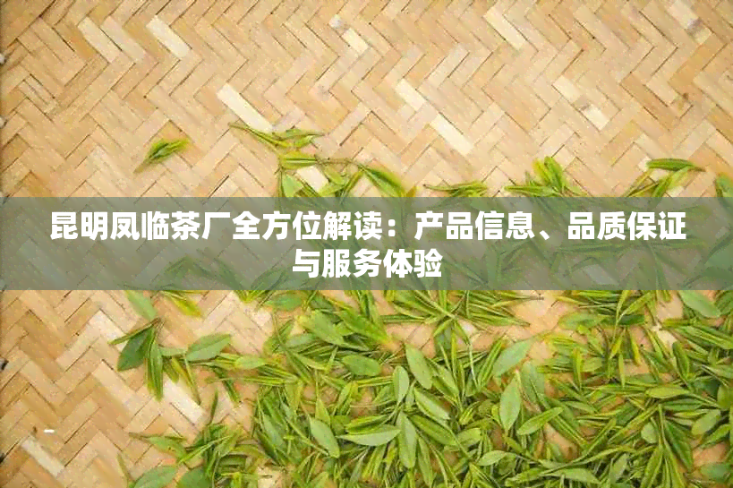 昆明凤临茶厂全方位解读：产品信息、品质保证与服务体验