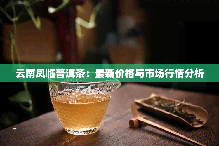 云南凤临普洱茶：最新价格与市场行情分析