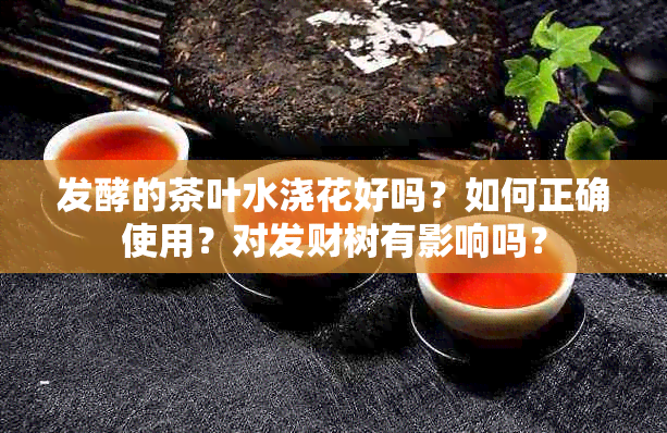 发酵的茶叶水浇花好吗？如何正确使用？对发财树有影响吗？