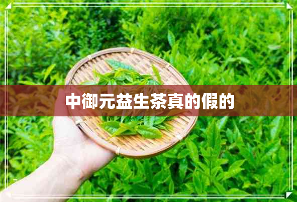 中御元益生茶真的假的