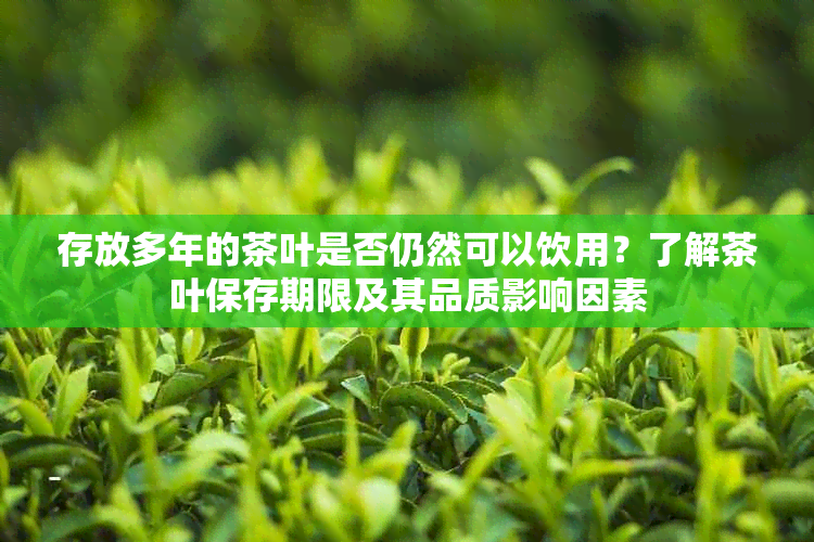 存放多年的茶叶是否仍然可以饮用？了解茶叶保存期限及其品质影响因素