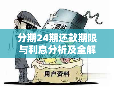 分期24期还款期限与利息分析及全解析