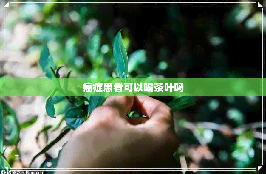 癌症患者可以喝茶叶吗