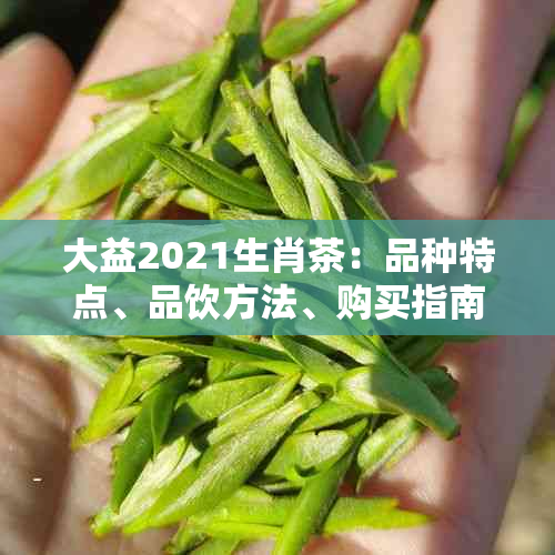 大益2021生肖茶：品种特点、品饮方法、购买指南及收藏价值全面解析