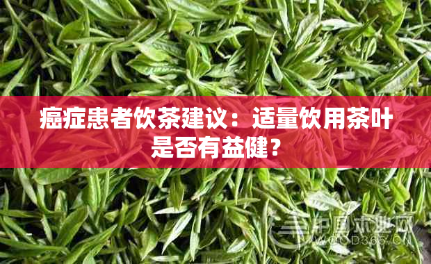 癌症患者饮茶建议：适量饮用茶叶是否有益健？