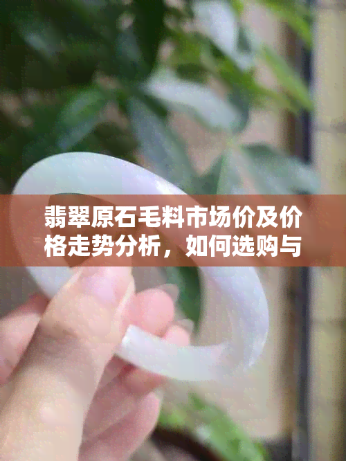 翡翠原石毛料市场价及价格走势分析，如何选购与评估？