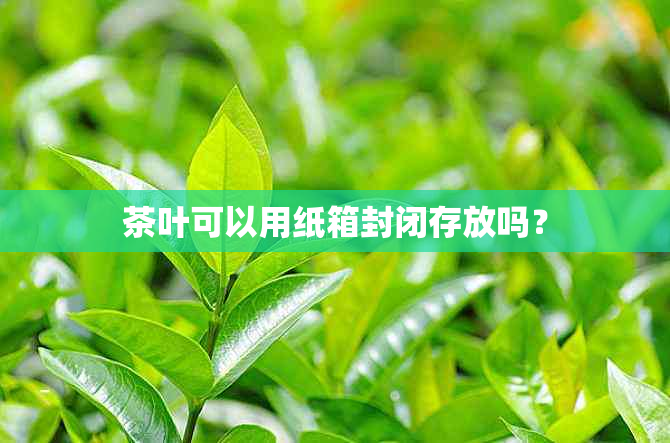 茶叶可以用纸箱封闭存放吗？