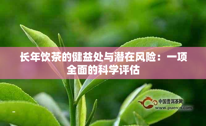 长年饮茶的健益处与潜在风险：一项全面的科学评估