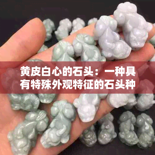 黄皮白心的石头：一种具有特殊外观特征的石头种类及其用途详解