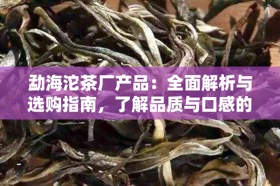 勐海沱茶厂产品：全面解析与选购指南，了解品质与口感的关键要点