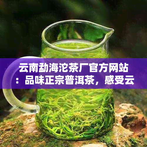 云南勐海沱茶厂官方网站：品味正宗普洱茶，感受云南茶文化的独特魅力