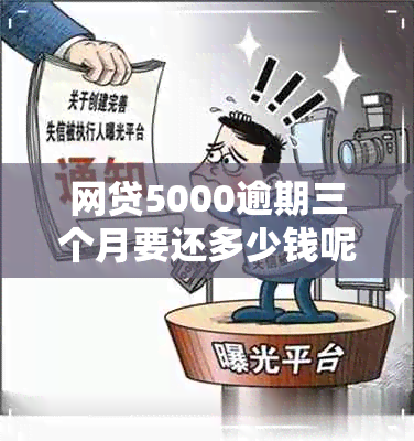 网贷5000逾期三个月要还多少钱呢