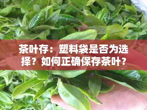 茶叶存：塑料袋是否为选择？如何正确保存茶叶？