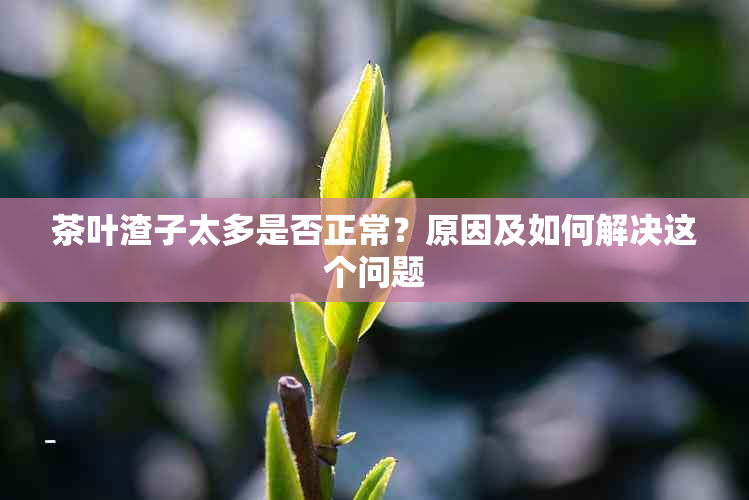 茶叶渣子太多是否正常？原因及如何解决这个问题