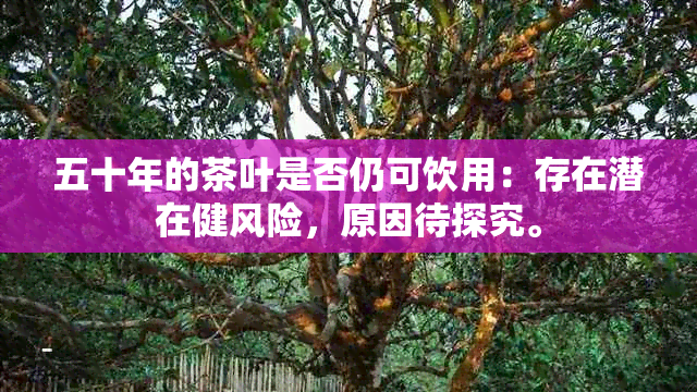 五十年的茶叶是否仍可饮用：存在潜在健风险，原因待探究。