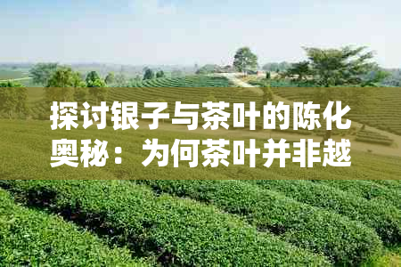 探讨银子与茶叶的陈化奥秘：为何茶叶并非越陈越佳及其影响因素