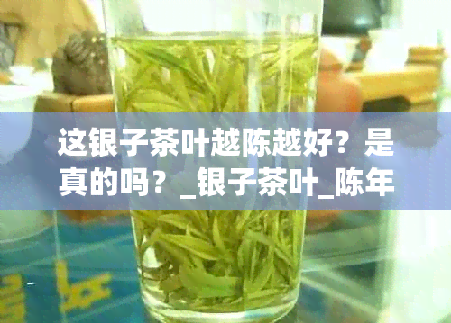 这银子茶叶越陈越好？是真的吗？_银子茶叶_陈年茶_普洱茶