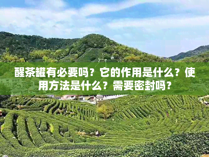 醒茶罐有必要吗？它的作用是什么？使用方法是什么？需要密封吗？