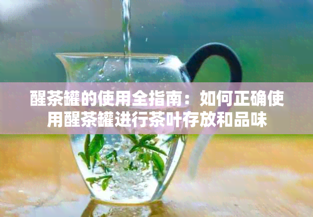 醒茶罐的使用全指南：如何正确使用醒茶罐进行茶叶存放和品味