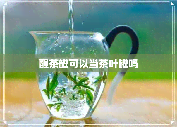 醒茶罐可以当茶叶罐吗