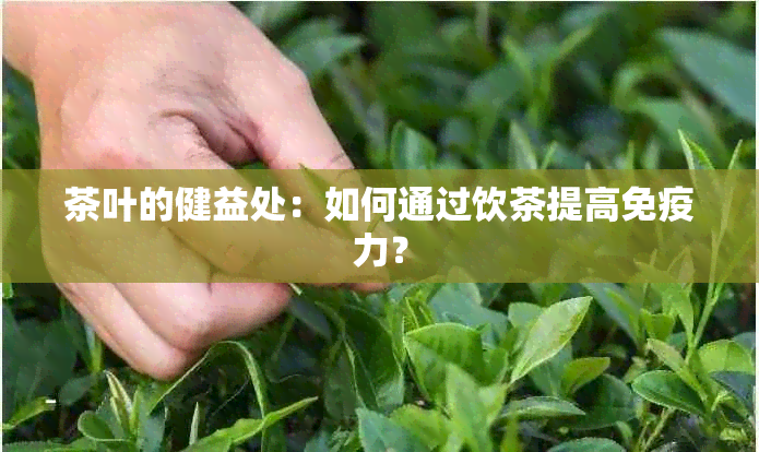 茶叶的健益处：如何通过饮茶提高免疫力？