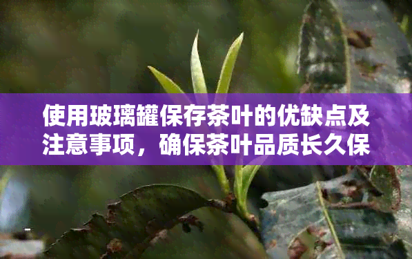 使用玻璃罐保存茶叶的优缺点及注意事项，确保茶叶品质长久保持