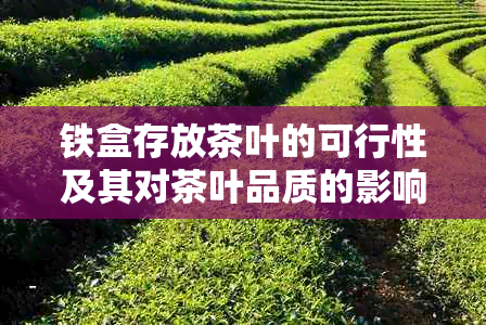 铁盒存放茶叶的可行性及其对茶叶品质的影响