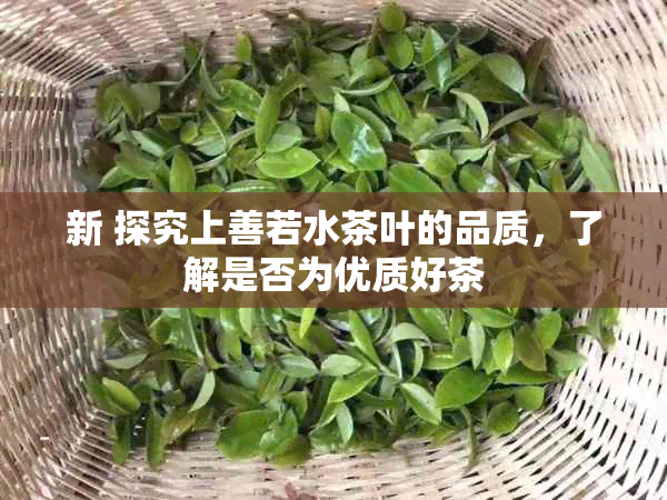 新 探究上善若水茶叶的品质，了解是否为优质好茶