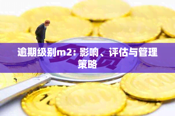 逾期级别m2: 影响、评估与管理策略