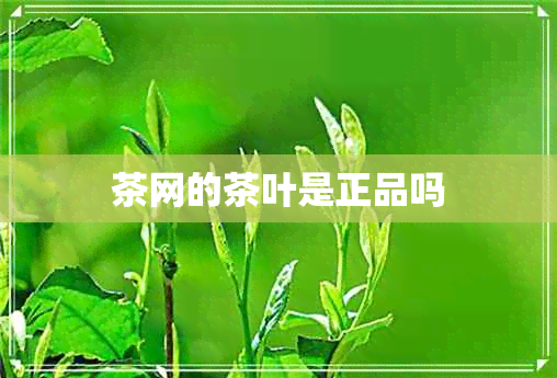 茶网的茶叶是正品吗