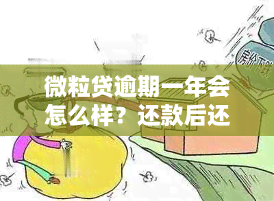 微粒贷逾期一年会怎么样？还款后还能继续使用吗？真的会被起诉吗？