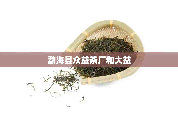 勐海县众益茶厂和大益