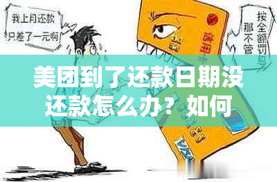 美团到了还款日期没还款怎么办？如何办理？