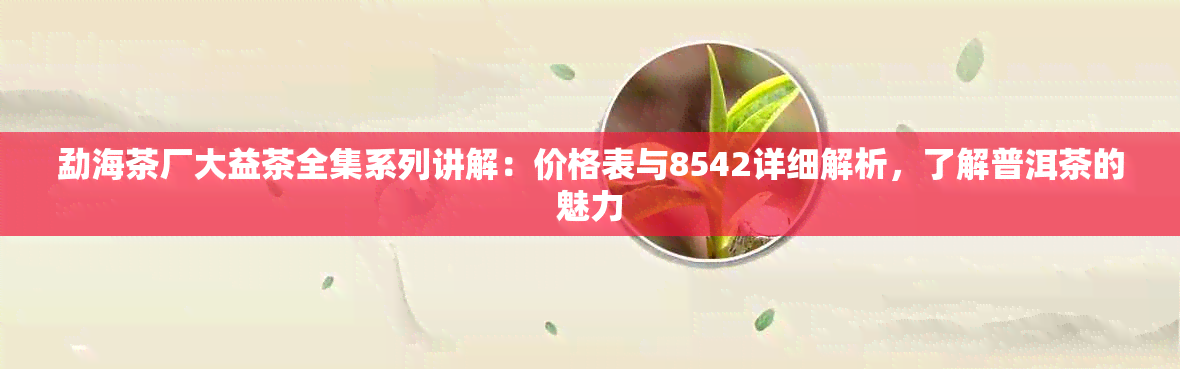 勐海茶厂大益茶全集系列讲解：价格表与8542详细解析，了解普洱茶的魅力