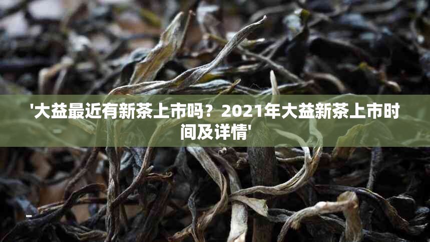 '大益最近有新茶上市吗？2021年大益新茶上市时间及详情'