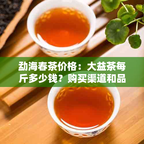 勐海春茶价格：大益茶每斤多少钱？购买渠道和品质如何？