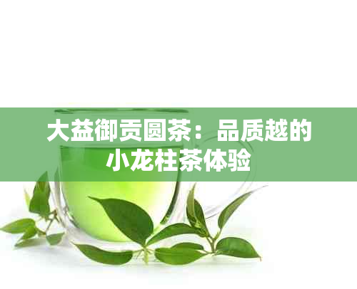 大益御贡圆茶：品质越的小龙柱茶体验