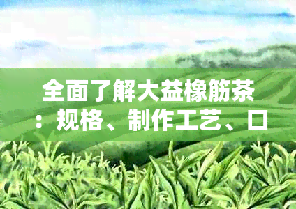 全面了解大益橡筋茶：规格、制作工艺、口感及冲泡方法，满足用户全方位需求