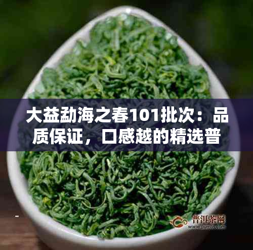 大益勐海之春101批次：品质保证，口感越的精选普洱茶饼详细解析