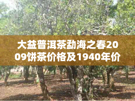 大益普洱茶勐海之春2009饼茶价格及1940年价格分析