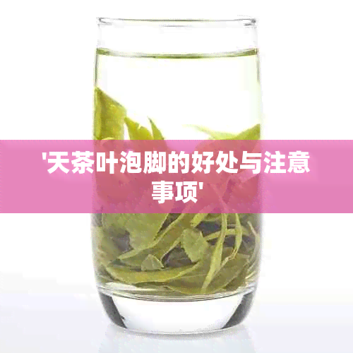 '天茶叶泡脚的好处与注意事项'