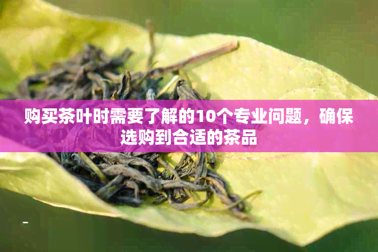 购买茶叶时需要了解的10个专业问题，确保选购到合适的茶品