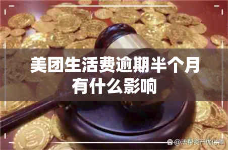 美团生活费逾期半个月有什么影响