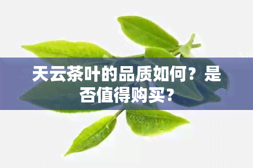 天云茶叶的品质如何？是否值得购买？