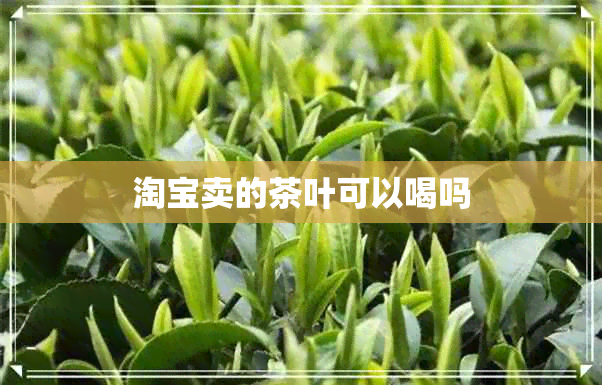 淘宝卖的茶叶可以喝吗