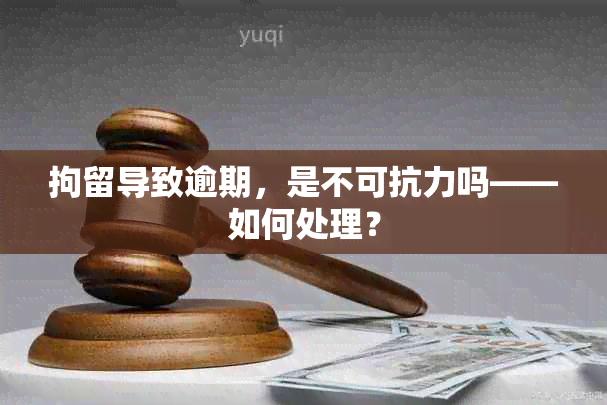 拘留导致逾期，是不可抗力吗——如何处理？