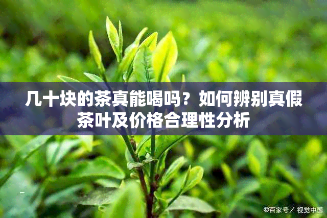 几十块的茶真能喝吗？如何辨别真假茶叶及价格合理性分析