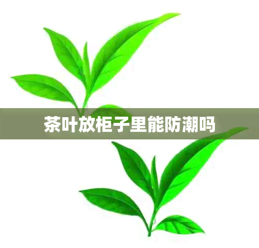 茶叶放柜子里能防潮吗