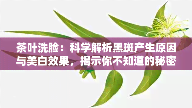 茶叶洗脸：科学解析黑斑产生原因与美白效果，揭示你不知道的秘密